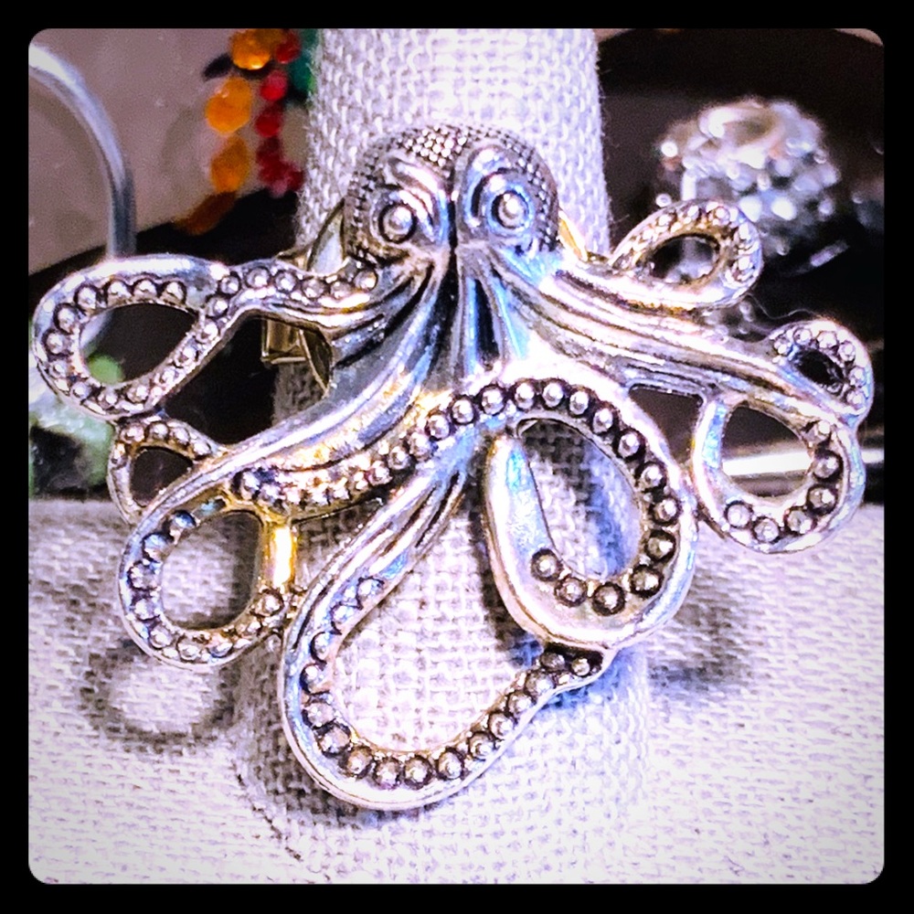 The Silver Tako Ring